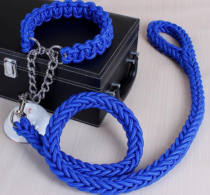Stylish Adjustable Dog Leash & Collar Set