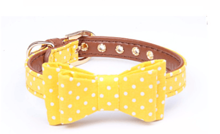 Polka Dot Pet Fashion Set