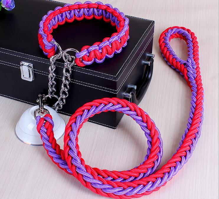 Stylish Adjustable Dog Leash & Collar Set