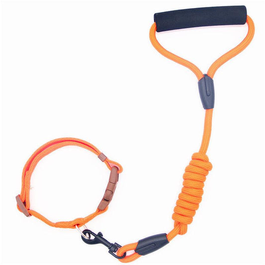 Premium Adjustable Pet Leash & Collar Set