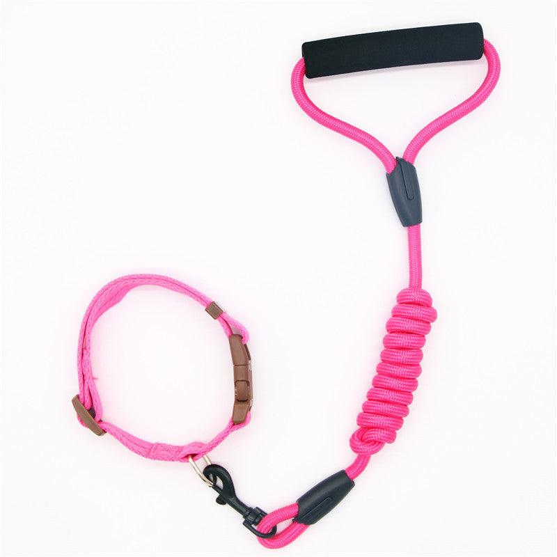 Premium Adjustable Pet Leash & Collar Set