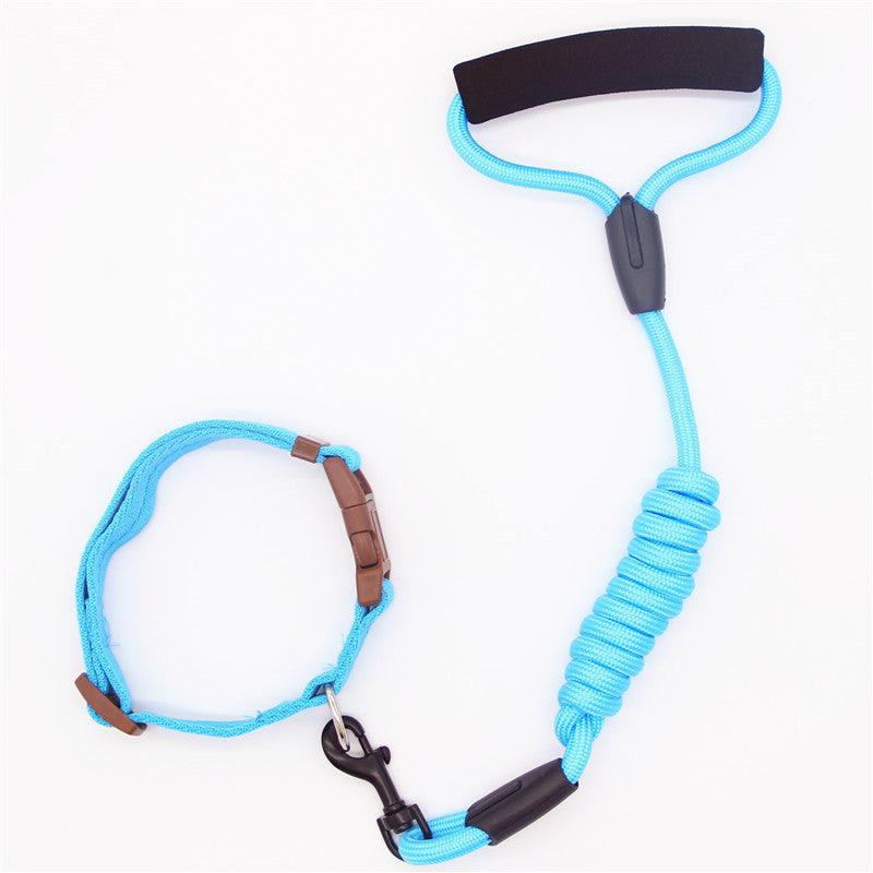 Premium Adjustable Pet Leash & Collar Set