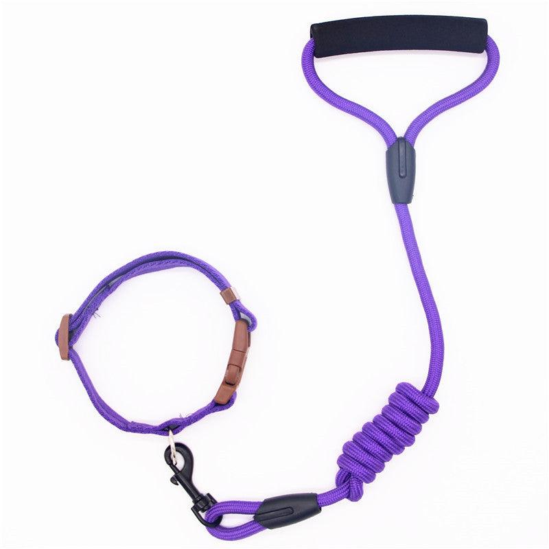 Premium Adjustable Pet Leash & Collar Set