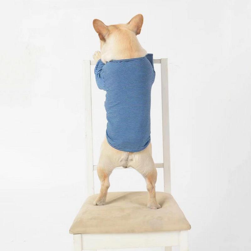 Stylish Casual Pet Clothes for Fashionable Pups