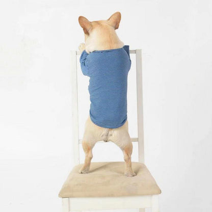 Stylish Casual Pet Clothes for Fashionable Pups