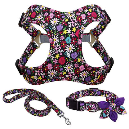 Floral Print Dog Collar, Harness & Leash Set