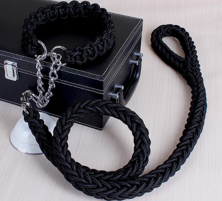 Stylish Adjustable Dog Leash & Collar Set