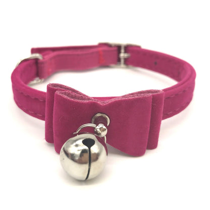 Elegant Paws Pet Collar