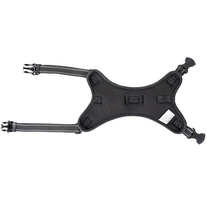 Luminous Canine Collar