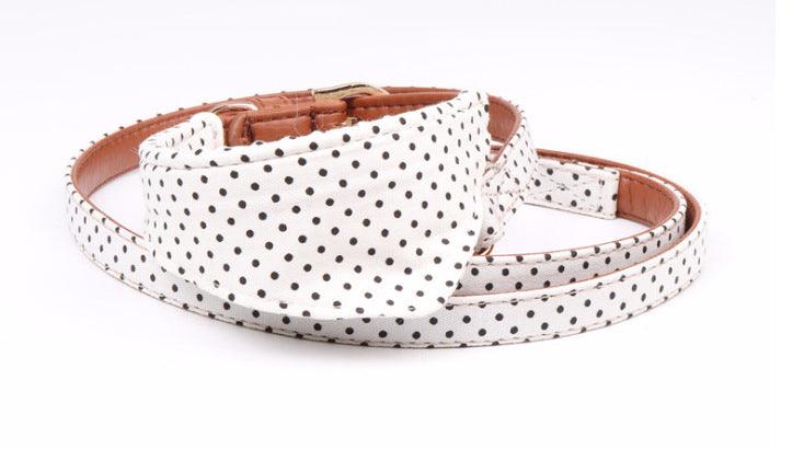 Polka Dot Pet Fashion Set