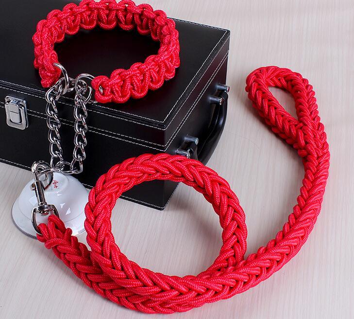 Stylish Adjustable Dog Leash & Collar Set