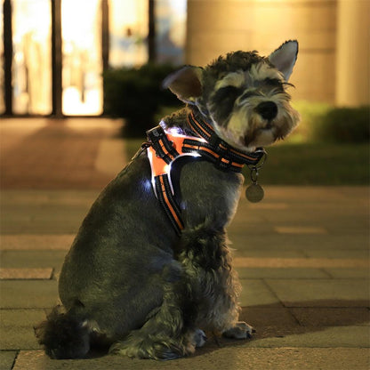 Luminous Canine Collar
