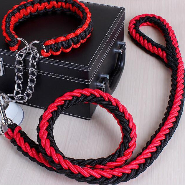Stylish Adjustable Dog Leash & Collar Set