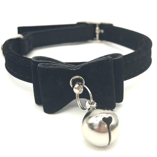 Elegant Paws Pet Collar
