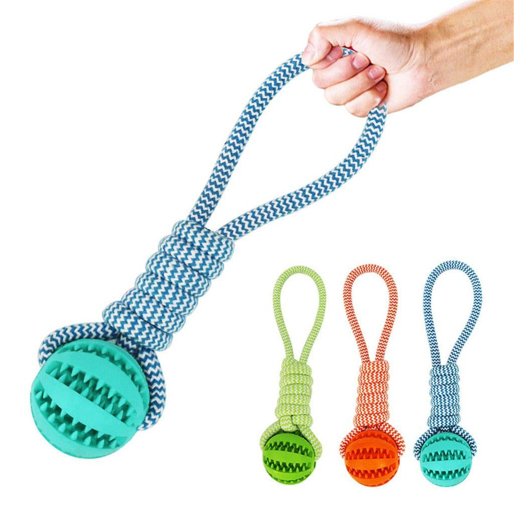 Pet Dental Twist Chew Toy