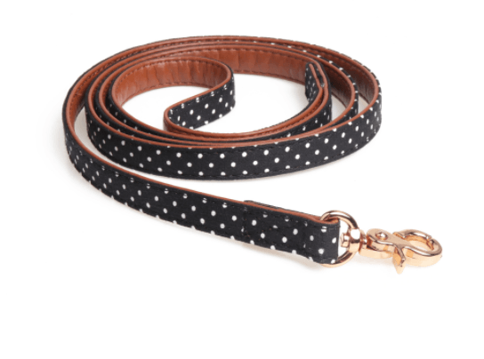 Polka Dot Pet Fashion Set