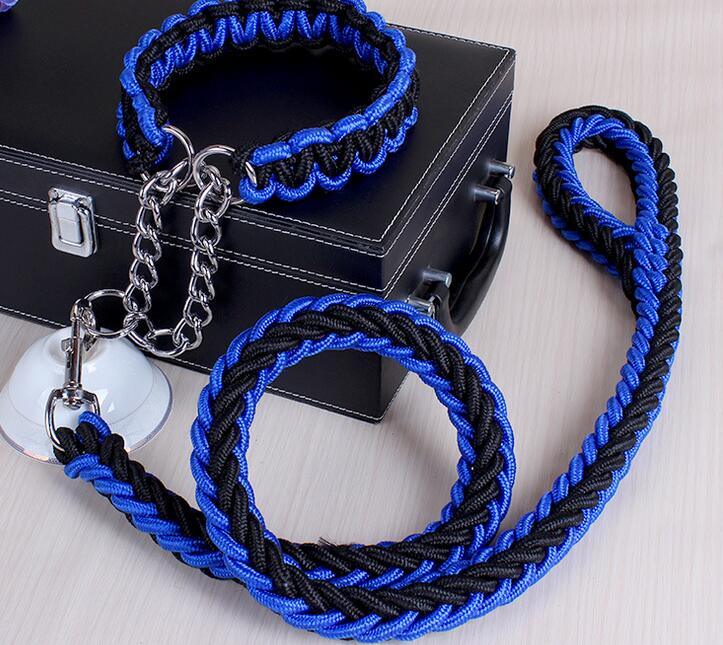 Stylish Adjustable Dog Leash & Collar Set