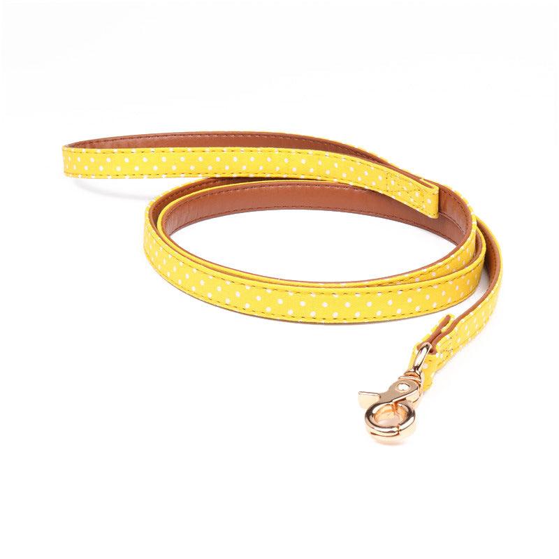 Polka Dot Pet Fashion Set