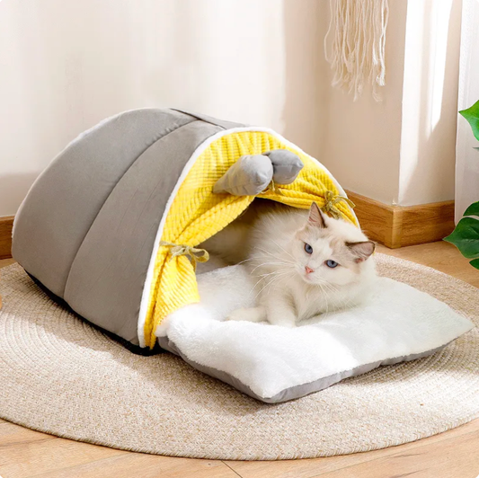 Ribbon Cat & Dog Pet Tent House