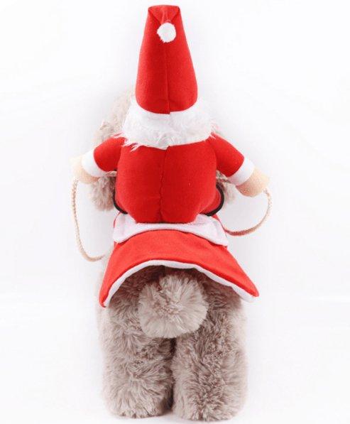 Cozy Paws Winter Pet Apparel