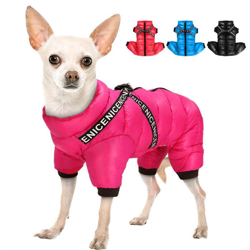 Cozy Winter Pet Apparel