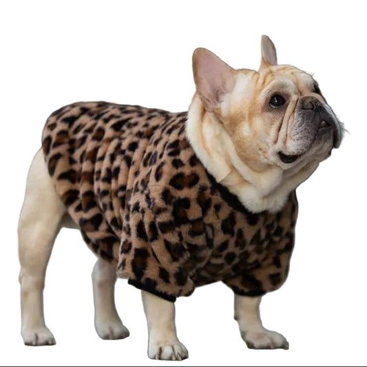 Cozyfluff Winter Dog Clothes