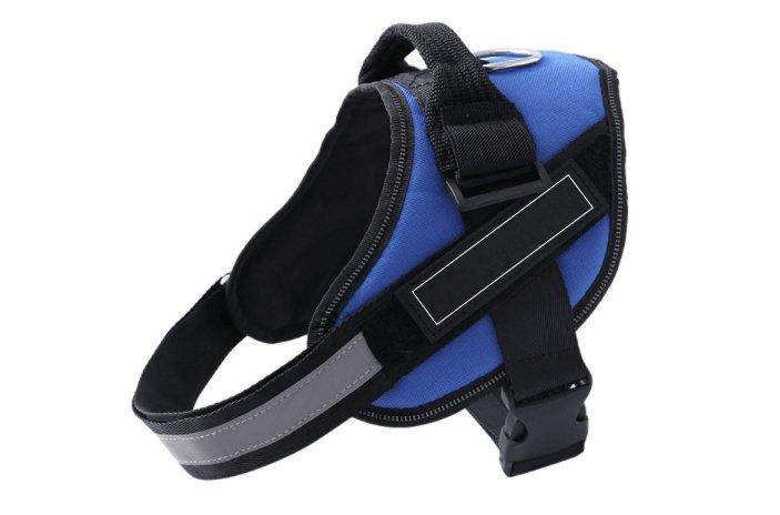 Customizable Multilingual Pet Harness with ID Patch