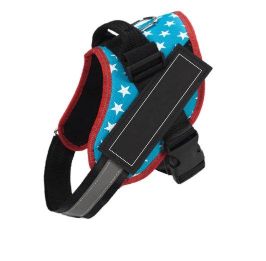 Customizable Multilingual Pet Harness with ID Patch