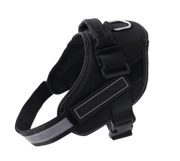 Customizable Multilingual Pet Harness with ID Patch