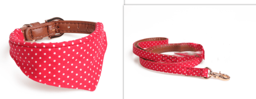 Polka Dot Pet Fashion Set