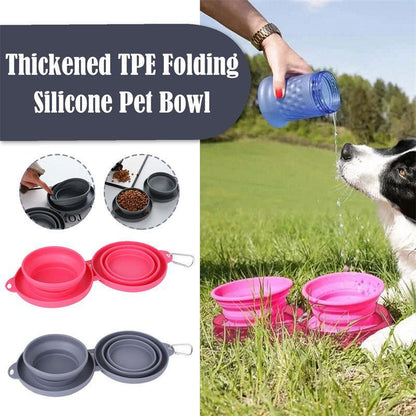 Double Collapsible Pet Feeding Bowl Set