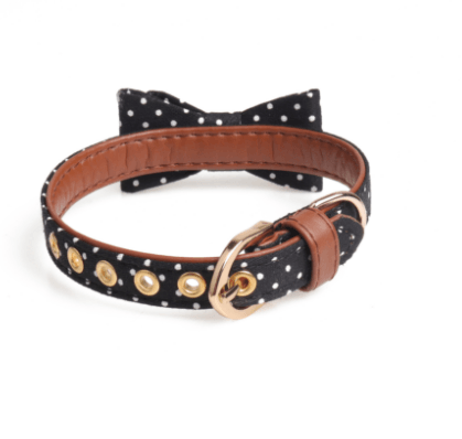 Polka Dot Pet Fashion Set