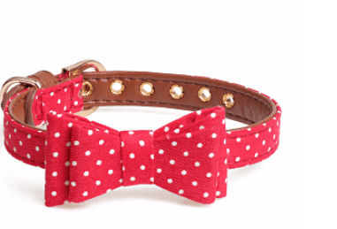 Polka Dot Pet Fashion Set